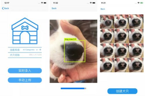 استارتاپ چینی اپلیکیشنی برای شناسایی سگ‌ها از طریق اثر بینی طراحی کرد