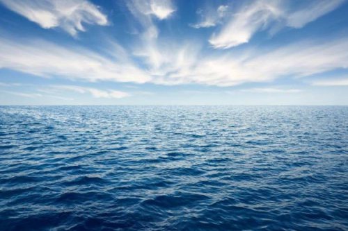اقیانوس های جهان در حال تهی شدن از اکسیژن هستند