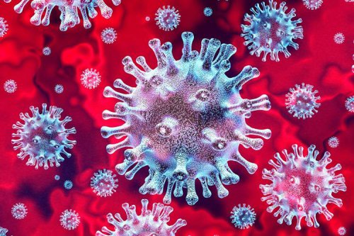ویروس کرونا جدید ممکن است ازطریق مدفوع منتشر شود